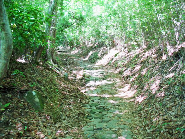 鎌倉古道・箱根湯坂路